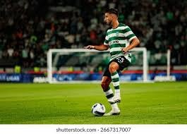 大联盟在 2014 年正式引入重播辅助判决系统，旨在提升判罚的公正性